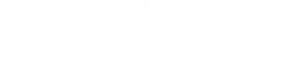 Mauro Solar Logo in weißer Darstellung